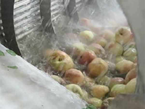 高壓氣泡清洗機(jī)(玉米類、果蔬類）